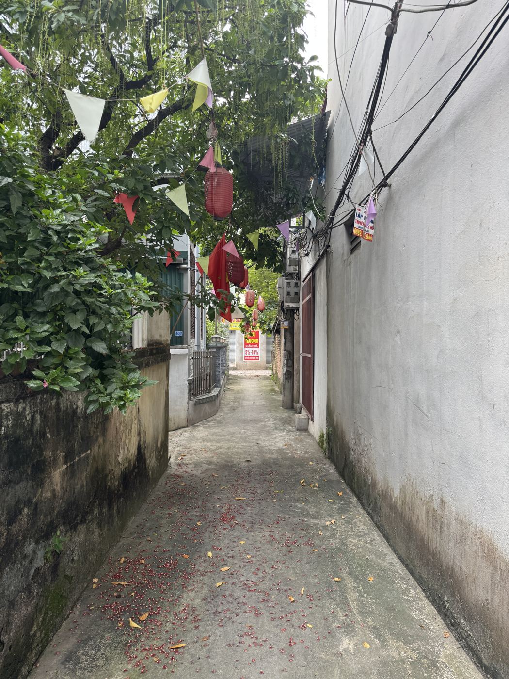 Ngõ vào – nhà Thượng Cát mã căn 271